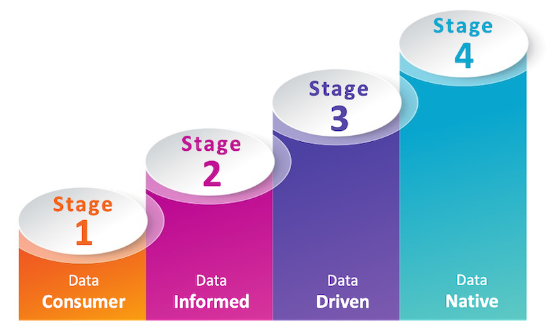 Data and Analytics Maturity Assessment Image